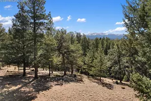 48 Walden Lake Circle, Divide, CO 80814 - Photo 9