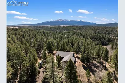 48 Walden Lake Circle, Divide, CO 80814 - Photo 7