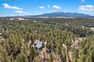 48 Walden Lake Circle, Divide, CO 80814 - Photo 9