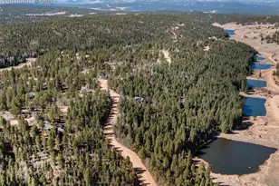 48 Walden Lake Circle, Divide, CO 80814 - Photo 13