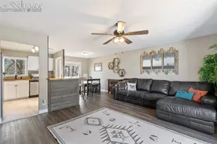 2915 Hayman Terrace, Colorado Springs, CO 80910 - Photo 7