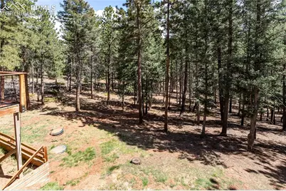 161 Summer Haven Drive, Woodland Park, CO 80863 - Photo 13