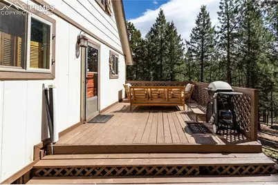 161 Summer Haven Drive, Woodland Park, CO 80863 - Photo 3