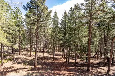 161 Summer Haven Drive, Woodland Park, CO 80863 - Photo 11