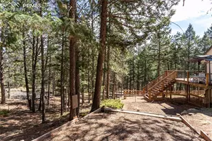 161 Summer Haven Dr, Woodland Park, CO 80863 - Photo 5