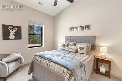 5542 North Road, Divide, CO 80814 - Photo 23
