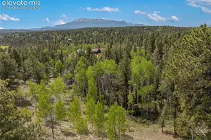 5542 N Rd, Divide, CO 80814 - Photo 43