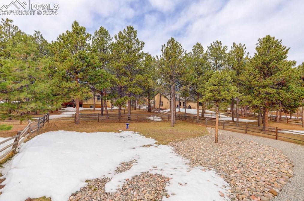 1116 Ptarmigan Dr, Woodland Park CO 80863-8004 exterior