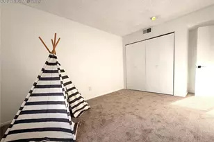 935 Saturn Dr, Colorado Springs, CO 80905 - Photo 19