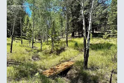 475 Sioux Road, Florissant, CO 80816 - Photo 7