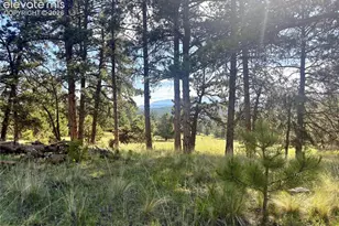 475 Sioux Rd, Florissant, CO 80816 - Photo 43