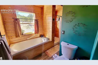 475 Sioux Road, Florissant, CO 80816 - Photo 19