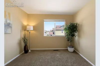 5417 Marco Alley, Colorado Springs, CO 80924 - Photo 23