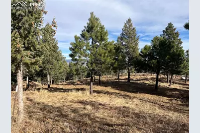 920 Grey Mountain Point, Colorado Springs, CO 80906 - Photo 3