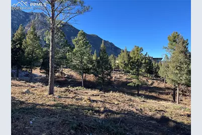 920 Grey Mountain Point, Colorado Springs, CO 80906 - Photo 5