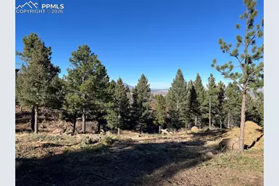 920 Grey Mountain Point, Colorado Springs, CO 80906 - Photo 7