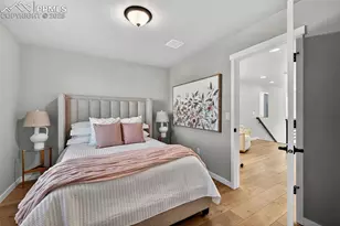 8652 Hoopla Way, Colorado Springs, CO 80924 - Photo 19