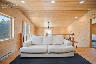 213 Willow Road, Divide, CO 80814 - Photo 23