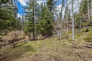 153 Moss Rock Ct, Divide, CO 80814 - Photo 35