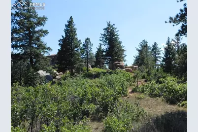 Lot 9 Troon Court, Larkspur, CO 80118 - Photo 33