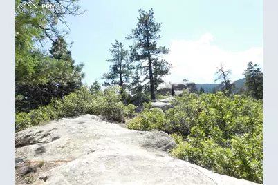 Lot 9 Troon Court, Larkspur, CO 80118 - Photo 19