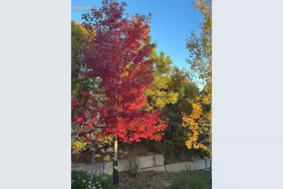 4716 Julliard Drive, Colorado Springs, CO 80918 - Photo 35