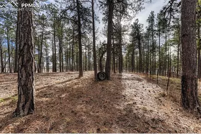 14425 Black Forest Road, Colorado Springs, CO 80908 - Photo 37