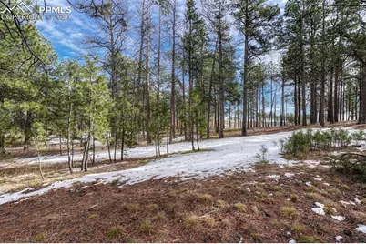 14425 Black Forest Road, Colorado Springs, CO 80908 - Photo 35