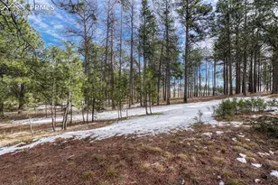 14425 Black Forest Rd, Colorado Springs, CO 80908 - Photo 35