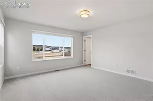 17737 Lemon Rye Loop, Monument, CO 80132 - Photo 11