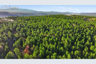 163 Ouray Road, Florissant, CO 80816 - Photo 45