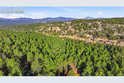 163 Ouray Road, Florissant, CO 80816 - Photo 7