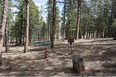 163 Ouray Road, Florissant, CO 80816 - Photo 29