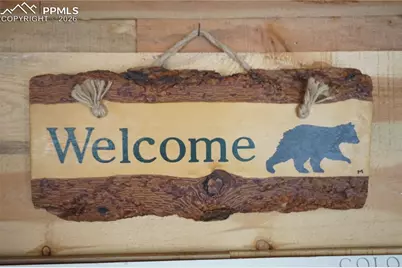 163 Ouray Road, Florissant, CO 80816 - Photo 9