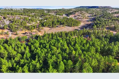 163 Ouray Road, Florissant, CO 80816 - Photo 41