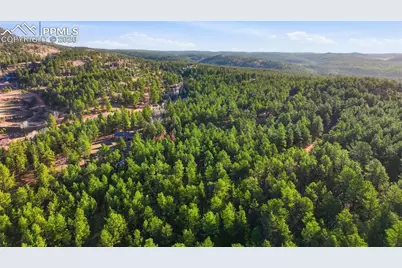 163 Ouray Road, Florissant, CO 80816 - Photo 43