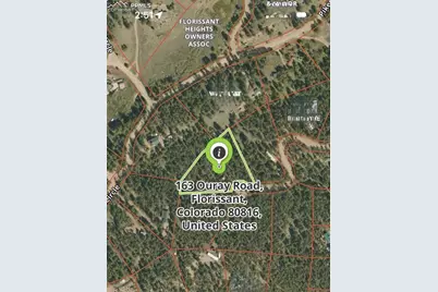 163 Ouray Road, Florissant, CO 80816 - Photo 5