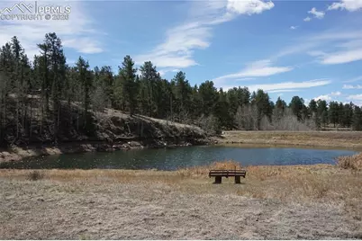 163 Ouray Road, Florissant, CO 80816 - Photo 39