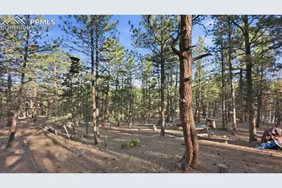 163 Ouray Road, Florissant, CO 80816 - Photo 25