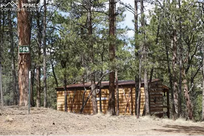 163 Ouray Road, Florissant, CO 80816 - Photo 31