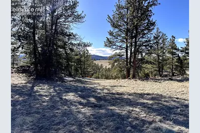 421 Crescent Drive, Florissant, CO 80816 - Photo 3