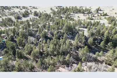 421 Crescent Drive, Florissant, CO 80816 - Photo 9