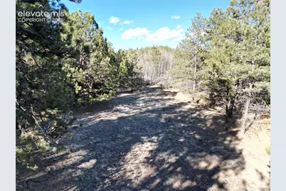 421 Crescent Drive, Florissant, CO 80816 - Photo 5