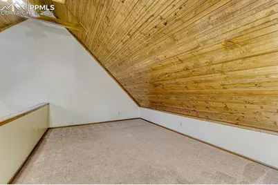 909 S West Street, Woodland Park, CO 80863 - Photo 17