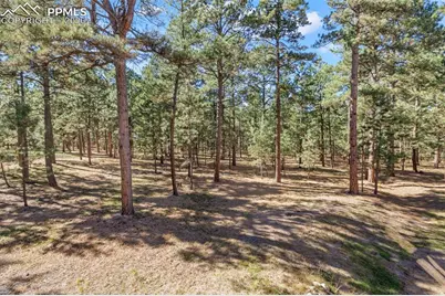 4475 Wavy Oak Drive, Colorado Springs, CO 80908 - Photo 41