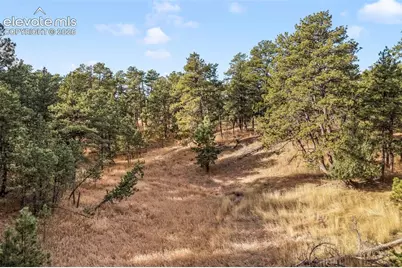 18230 Cumbres Court, Peyton, CO 80831 - Photo 23