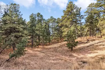 18230 Cumbres Court, Peyton, CO 80831 - Photo 19