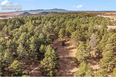 18230 Cumbres Court, Peyton, CO 80831 - Photo 39