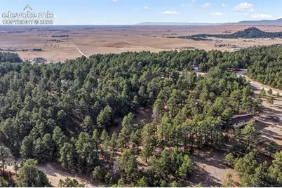 18230 Cumbres Court, Peyton, CO 80831 - Photo 9
