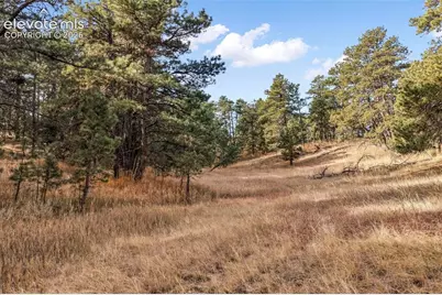 18230 Cumbres Court, Peyton, CO 80831 - Photo 21